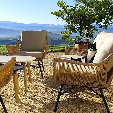 Podere Campiano Apartamento *
