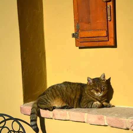 Podere Campiano Apartamento