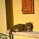 Podere Campiano Appartamento